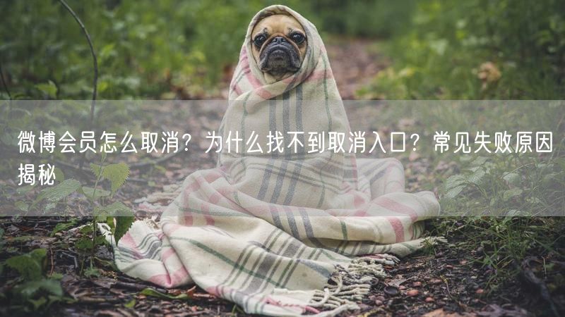 微博会员怎么取消？为什么找不到取消入口？常见失败原因揭秘