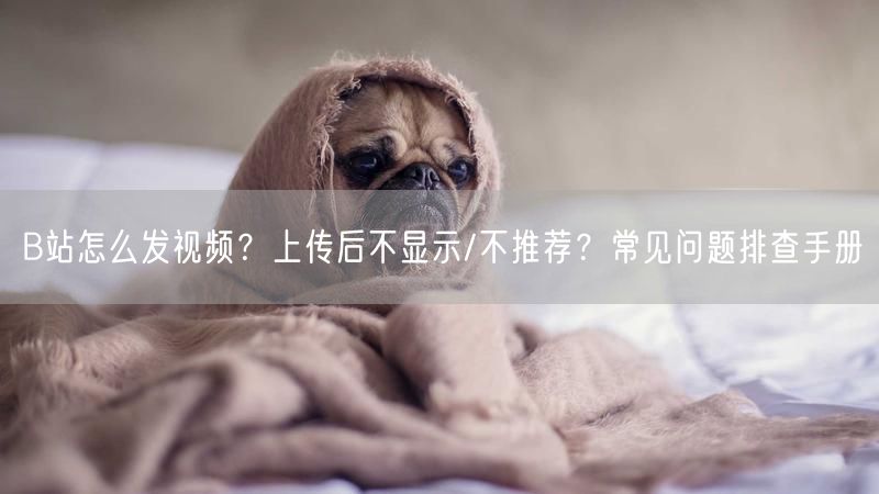 B站怎么发视频？上传后不显示/不推荐？常见问题排查手册