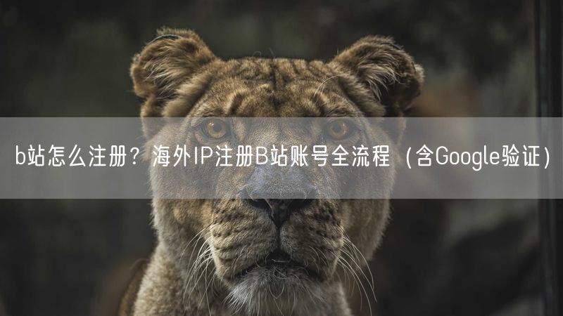 b站怎么注册？海外IP注册B站账号全流程（含Google验证）