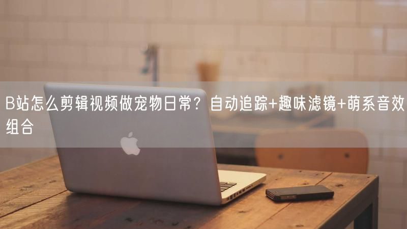 B站怎么剪辑视频做宠物日常？自动追踪+趣味滤镜+萌系音效组合