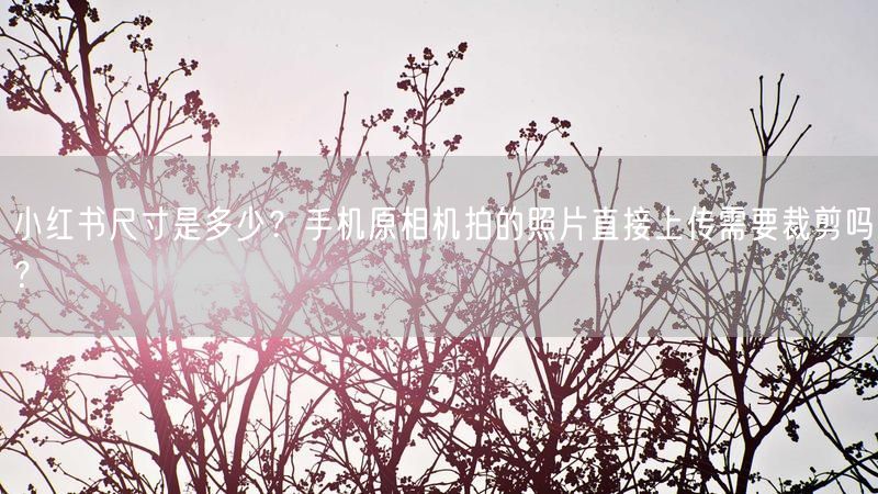 小红书尺寸是多少？手机原相机拍的照片直接上传需要裁剪吗？