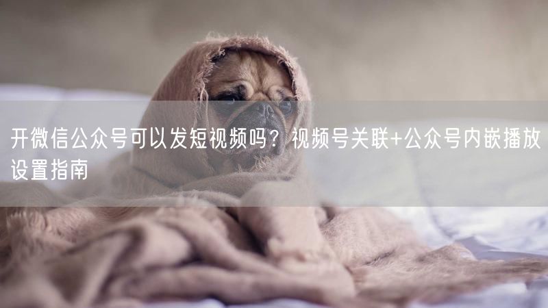 开微信公众号可以发短视频吗？视频号关联+公众号内嵌播放设置指南