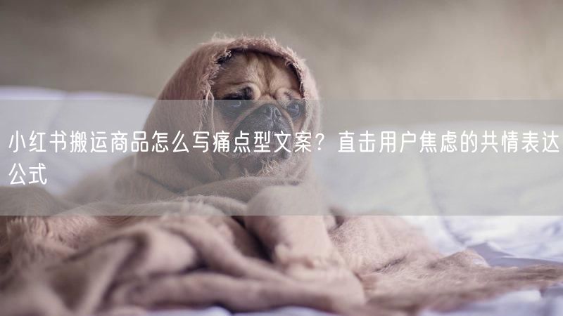 小红书搬运商品怎么写痛点型文案？直击用户焦虑的共情表达公式