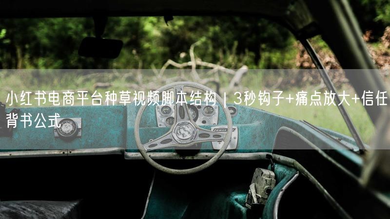 小红书电商平台种草视频脚本结构｜3秒钩子+痛点放大+信任背书公式