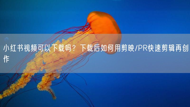 小红书视频可以下载吗？下载后如何用剪映/PR快速剪辑再创作