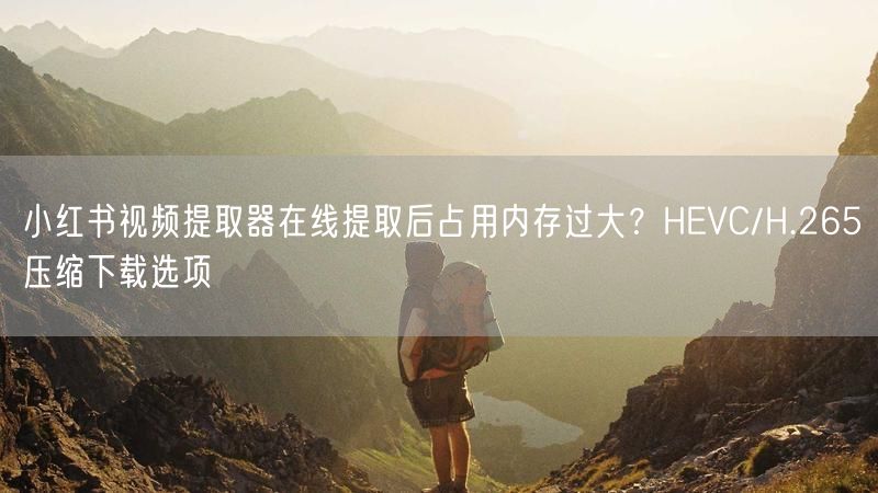 小红书视频提取器在线提取后占用内存过大？HEVC/H.265压缩下载选项