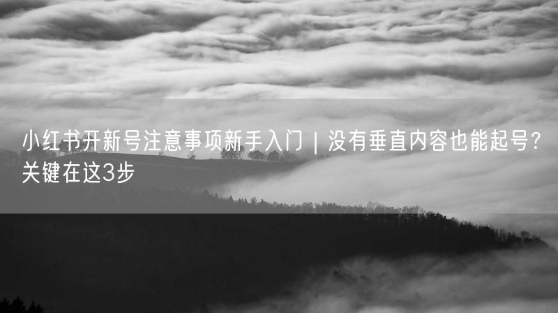 小红书开新号注意事项新手入门｜没有垂直内容也能起号？关键在这3步