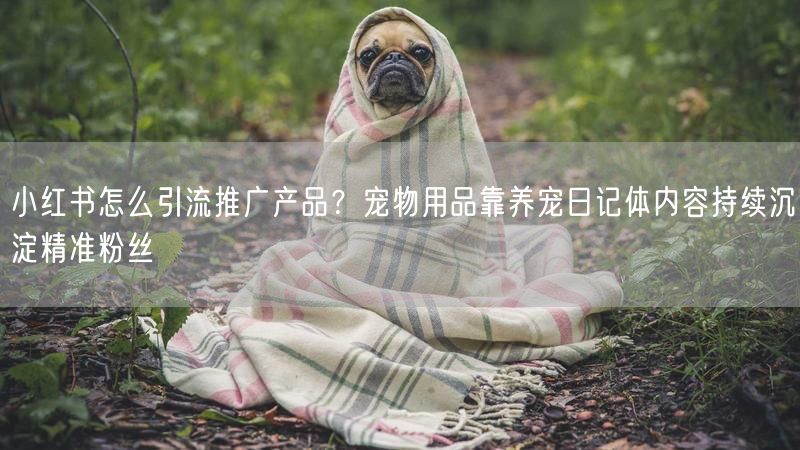 小红书怎么引流推广产品？宠物用品靠养宠日记体内容持续沉淀精准粉丝