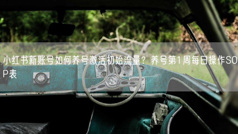 小红书新账号如何养号激活初始流量？养号第1周每日操作SOP表