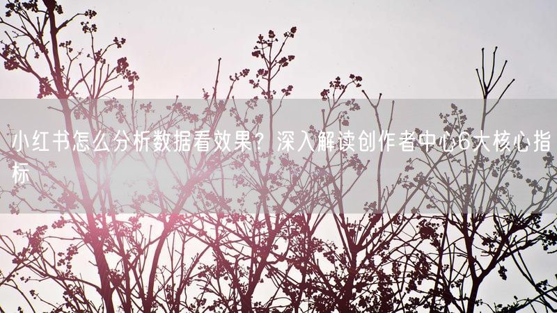 小红书怎么分析数据看效果？深入解读创作者中心6大核心指标