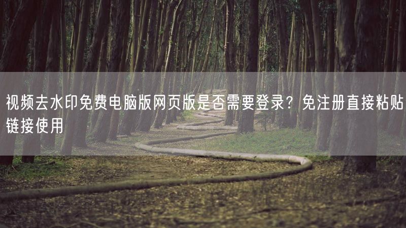 视频去水印免费电脑版网页版是否需要登录？免注册直接粘贴链接使用