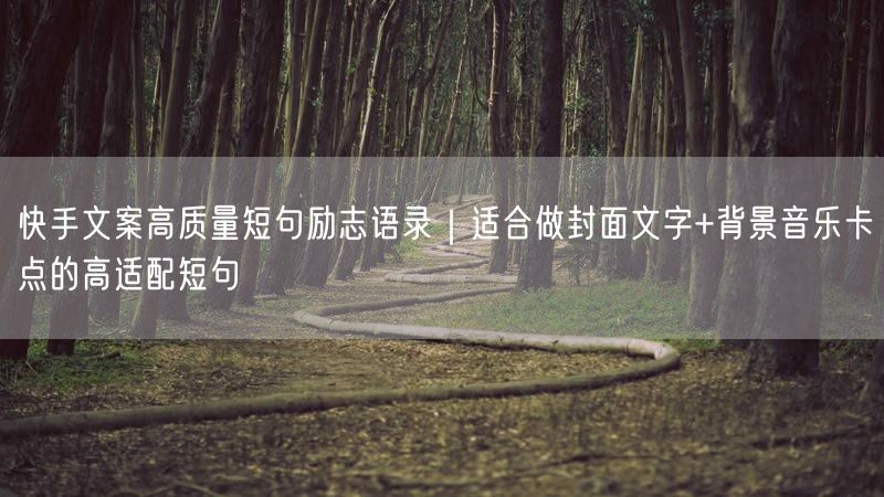 快手文案高质量短句励志语录｜适合做封面文字+背景音乐卡点的高适配短句