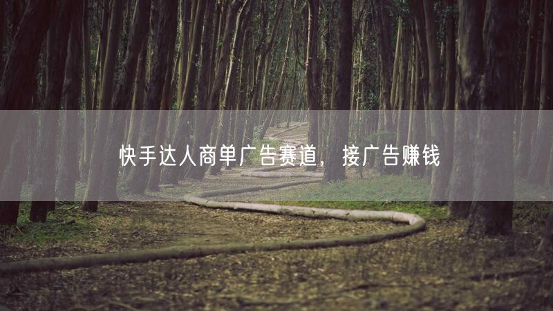 快手达人商单广告赛道，接广告赚钱