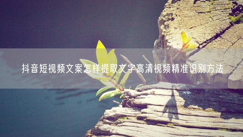 抖音短视频文案怎样提取文字高清视频精准识别方法
