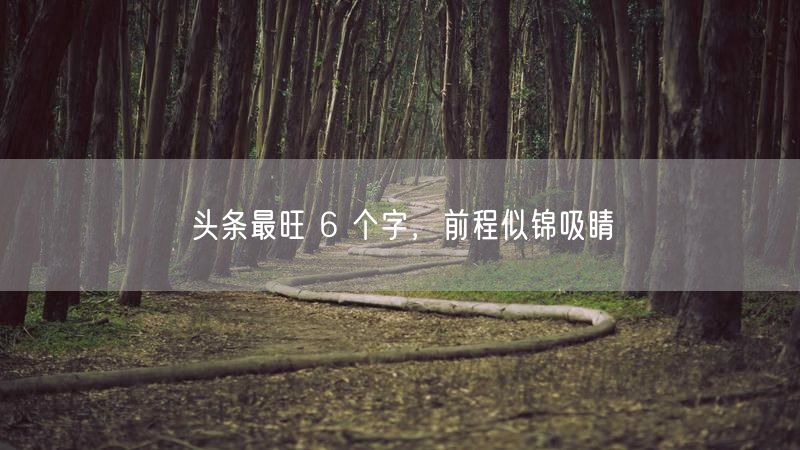 头条最旺 6 个字，前程似锦吸睛