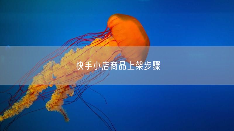 快手小店商品上架步骤