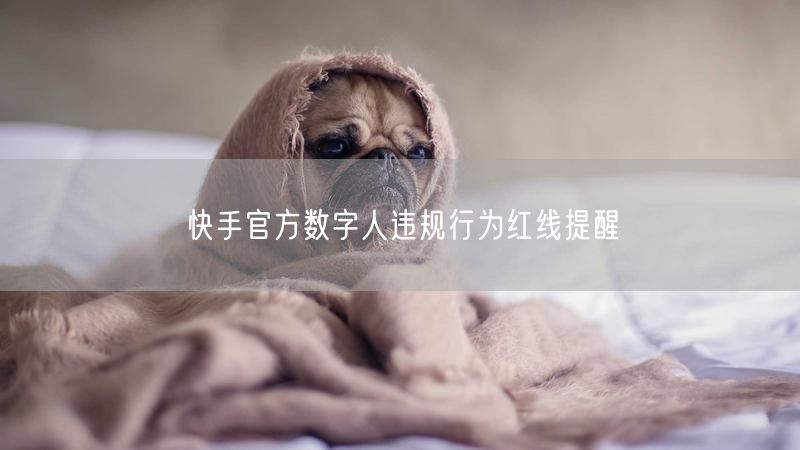 快手官方数字人违规行为红线提醒