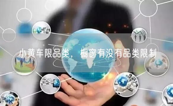 小黄车限品类，橱窗有没有品类限制
