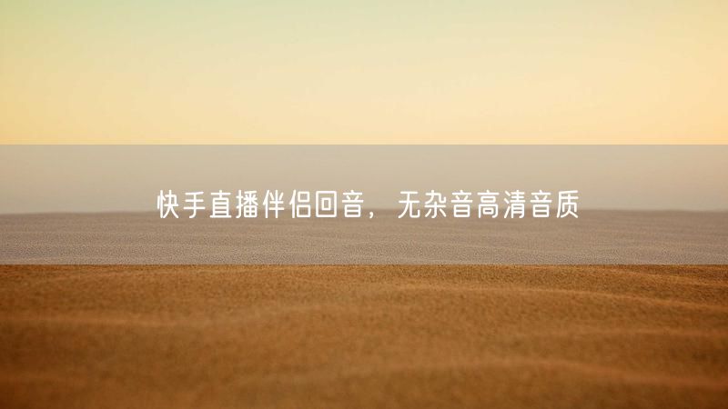 快手直播伴侣回音，无杂音高清音质