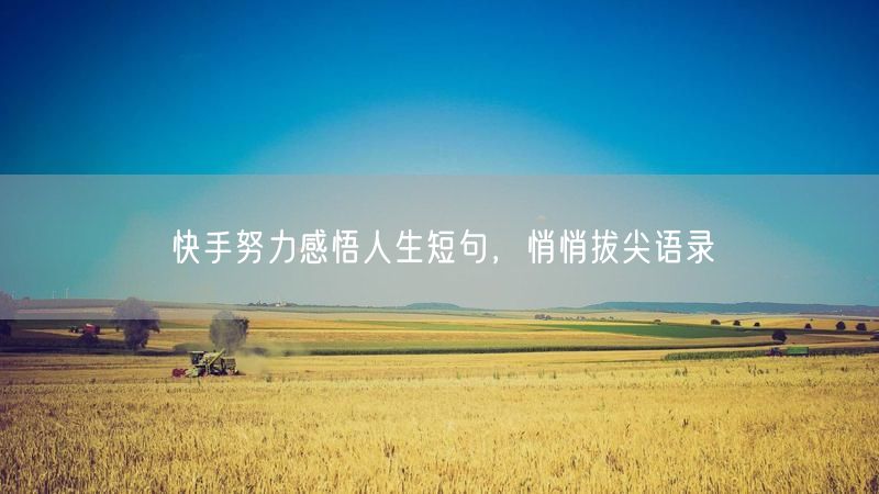 快手努力感悟人生短句，悄悄拔尖语录