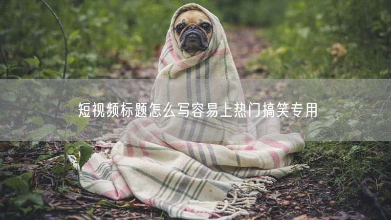 短视频标题怎么写容易上热门搞笑专用