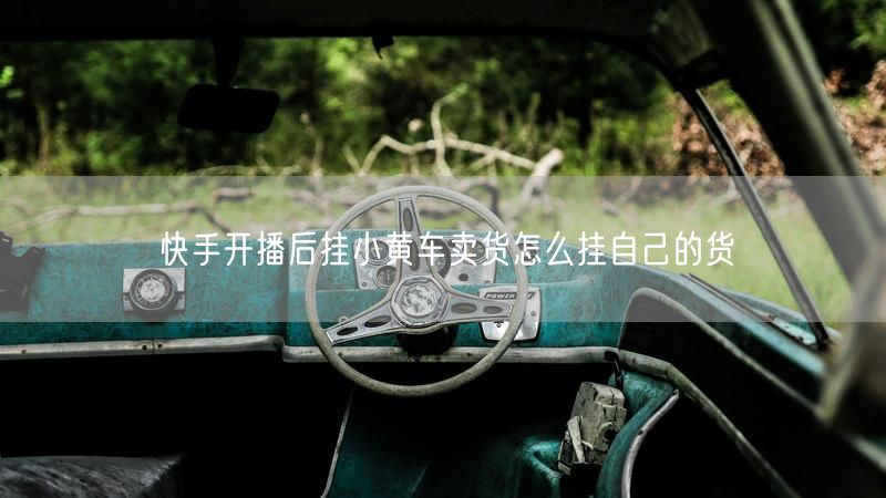 快手开播后挂小黄车卖货怎么挂自己的货