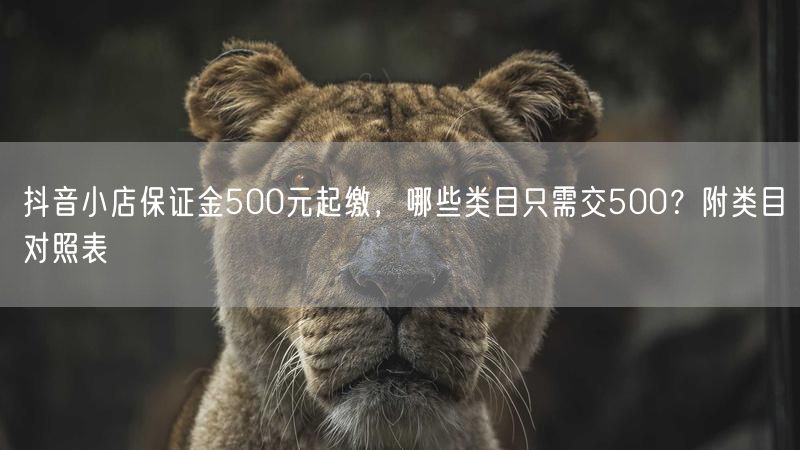 抖音小店保证金500元起缴，哪些类目只需交500？附类目对照表