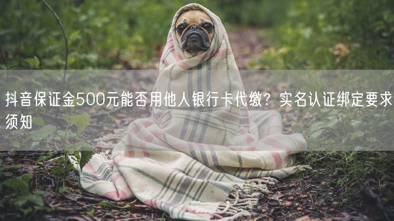 抖音保证金500元能否用他人银行卡代缴？实名认证绑定要求须知