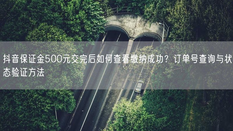 抖音保证金500元交完后如何查看缴纳成功？订单号查询与状态验证方法