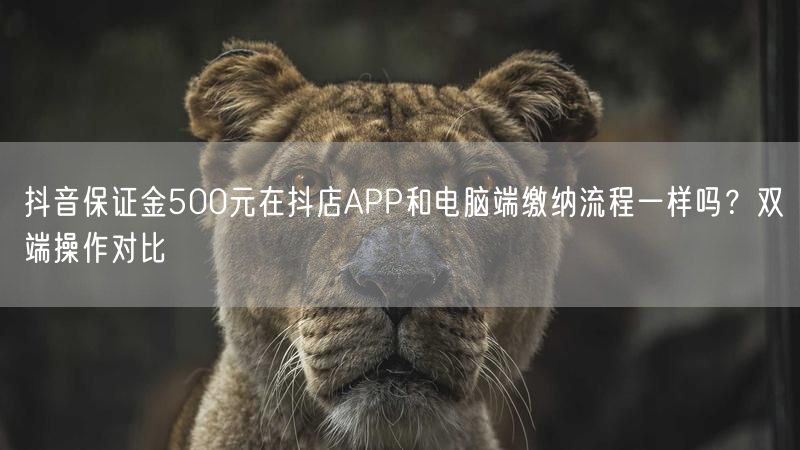 抖音保证金500元在抖店APP和电脑端缴纳流程一样吗？双端操作对比
