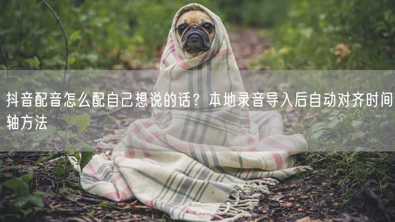 抖音配音怎么配自己想说的话？本地录音导入后自动对齐时间轴方法