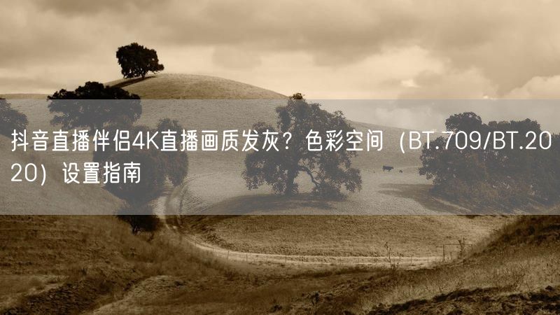 抖音直播伴侣4K直播画质发灰？色彩空间（BT.709/BT.2020）设置指南