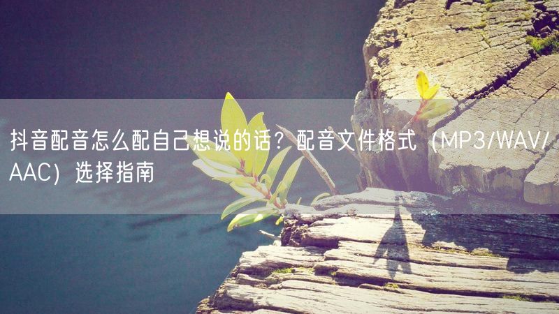 抖音配音怎么配自己想说的话？配音文件格式（MP3/WAV/AAC）选择指南