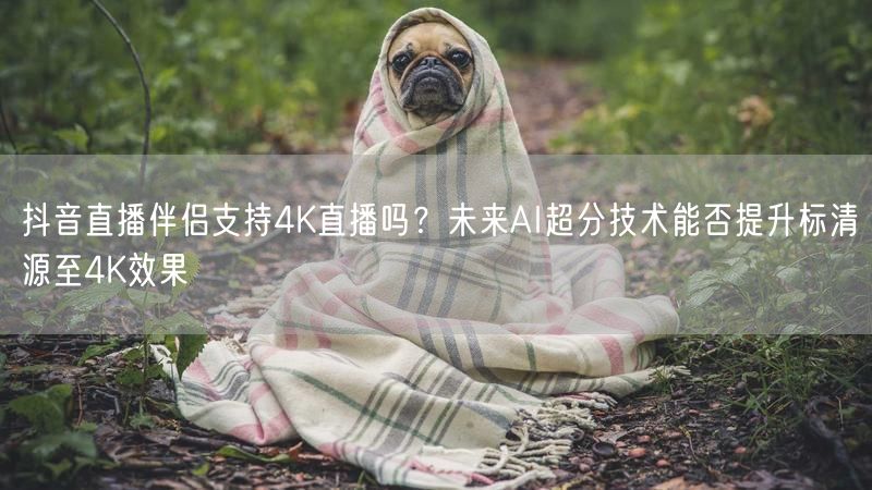 抖音直播伴侣支持4K直播吗？未来AI超分技术能否提升标清源至4K效果