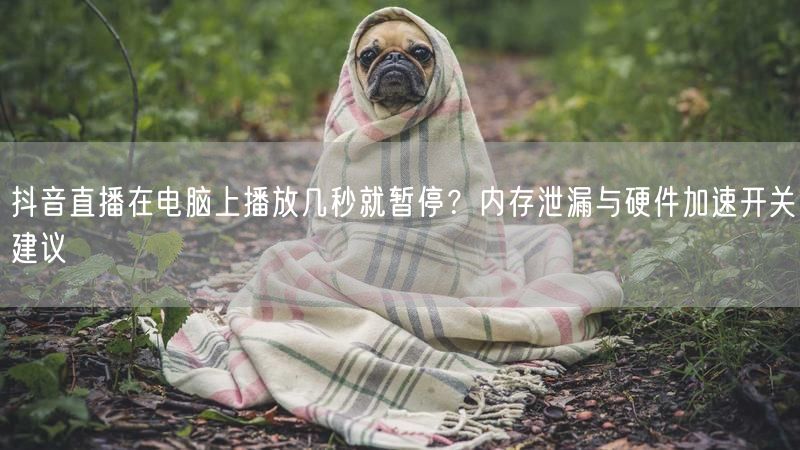 抖音直播在电脑上播放几秒就暂停？内存泄漏与硬件加速开关建议