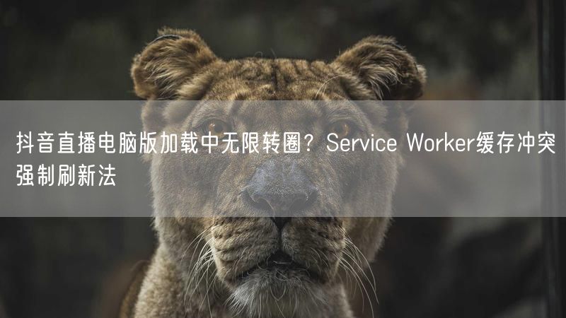 抖音直播电脑版加载中无限转圈？Service Worker缓存冲突强制刷新法