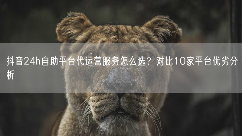 抖音24h自助平台代运营服务怎么选？对比10家平台优劣分析