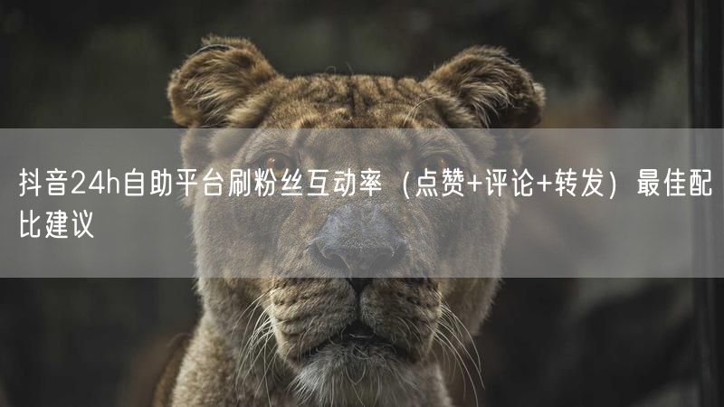 抖音24h自助平台刷粉丝互动率（点赞+评论+转发）最佳配比建议