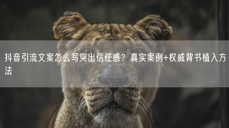 抖音引流文案怎么写突出信任感？真实案例+权威背书植入方法