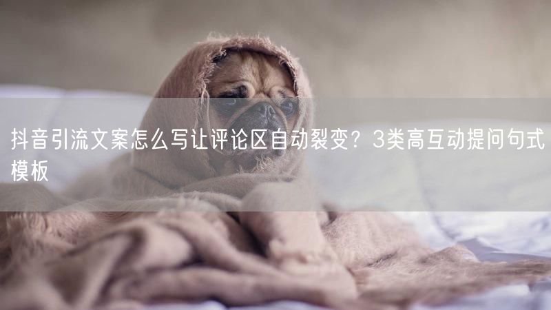 抖音引流文案怎么写让评论区自动裂变？3类高互动提问句式模板