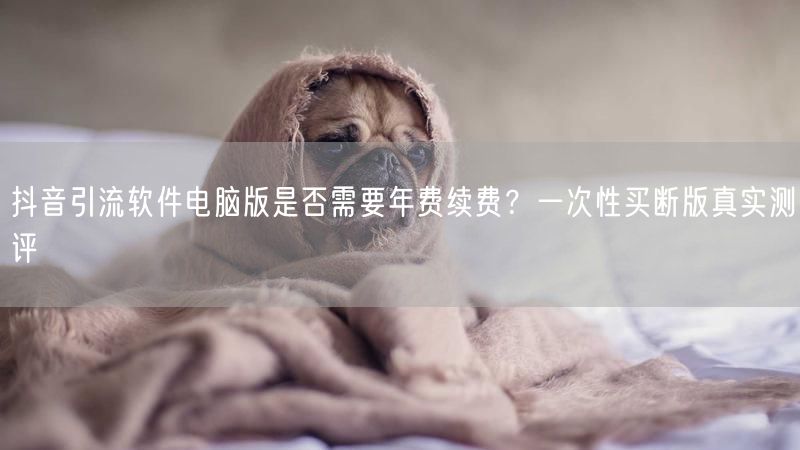 抖音引流软件电脑版是否需要年费续费？一次性买断版真实测评
