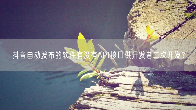 抖音自动发布的软件有没有API接口供开发者二次开发？