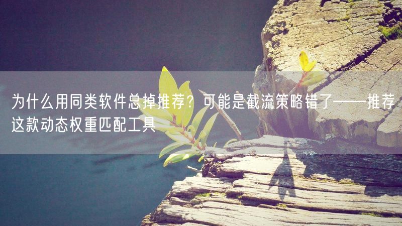 为什么用同类软件总掉推荐？可能是截流策略错了——推荐这款动态权重匹配工具