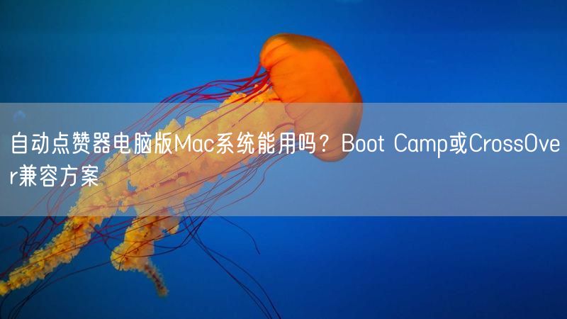 自动点赞器电脑版Mac系统能用吗？Boot Camp或CrossOver兼容方案