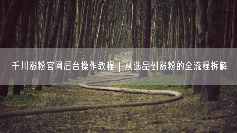 千川涨粉官网后台操作教程｜从选品到涨粉的全流程拆解