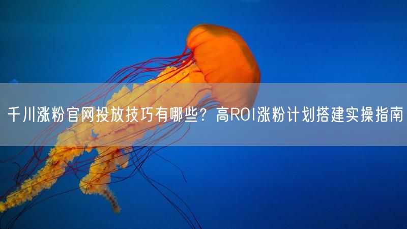 千川涨粉官网投放技巧有哪些？高ROI涨粉计划搭建实操指南