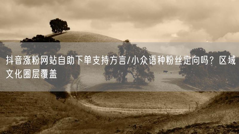 抖音涨粉网站自助下单支持方言/小众语种粉丝定向吗？区域文化圈层覆盖