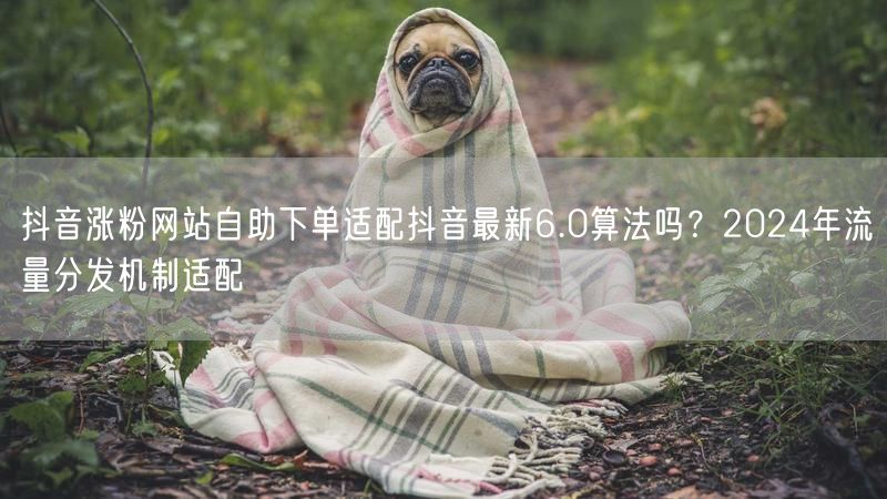 抖音涨粉网站自助下单适配抖音最新6.0算法吗？2024年流量分发机制适配