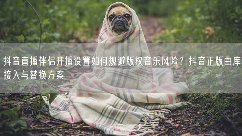 抖音直播伴侣开播设置如何规避版权音乐风险？抖音正版曲库接入与替换方案