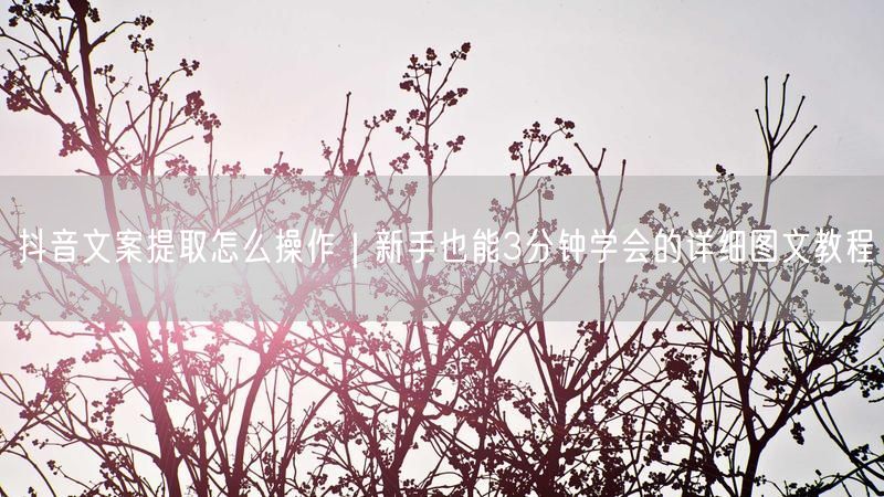 抖音文案提取怎么操作｜新手也能3分钟学会的详细图文教程